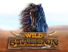 Wild Stallion - Kasyno na żywo